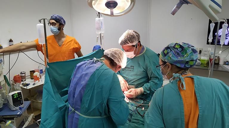 Realizaron cuatro donaciones de órganos en cinco días en la provincia